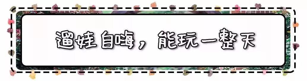 槽糕,是心动的感觉!这个神秘花谷正在悄然绽放!走,去拍照~