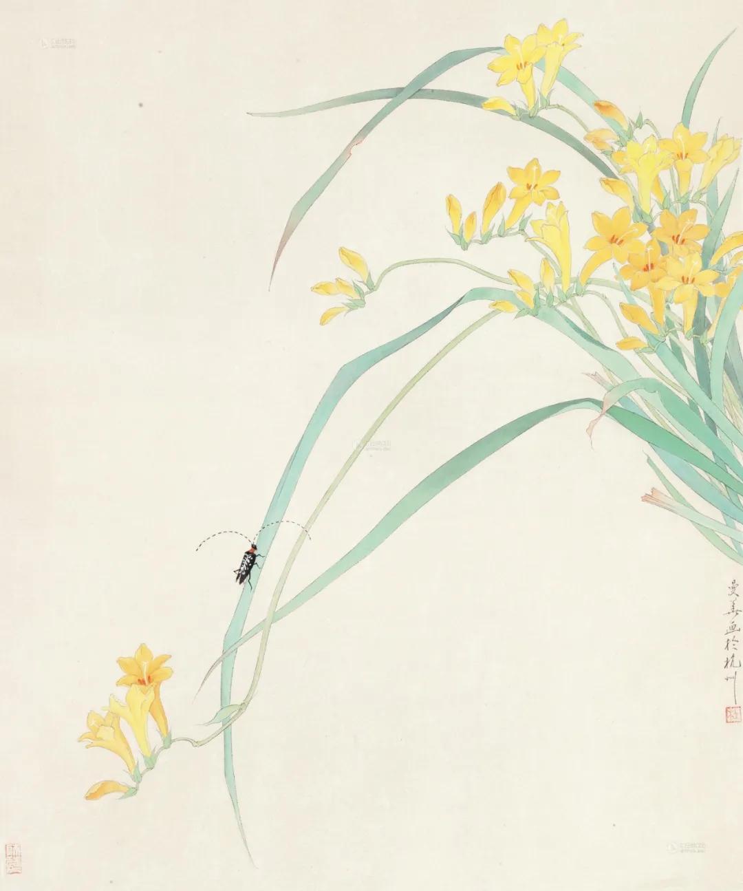 杜曼华美人蕉工笔画,淡雅空灵杜曼华工笔花鸟作品40幅