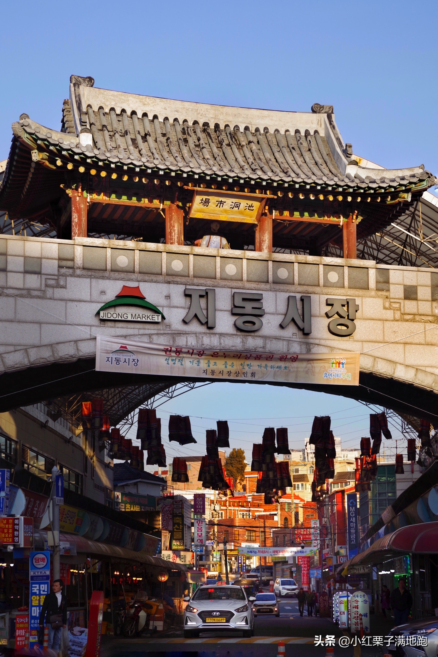 疫散花开张家界,疫散花开欢迎归来