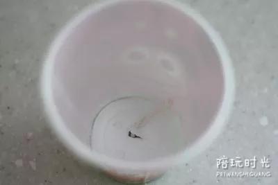 纸杯有趣玩法,纸杯能做出来什么样的东西呢