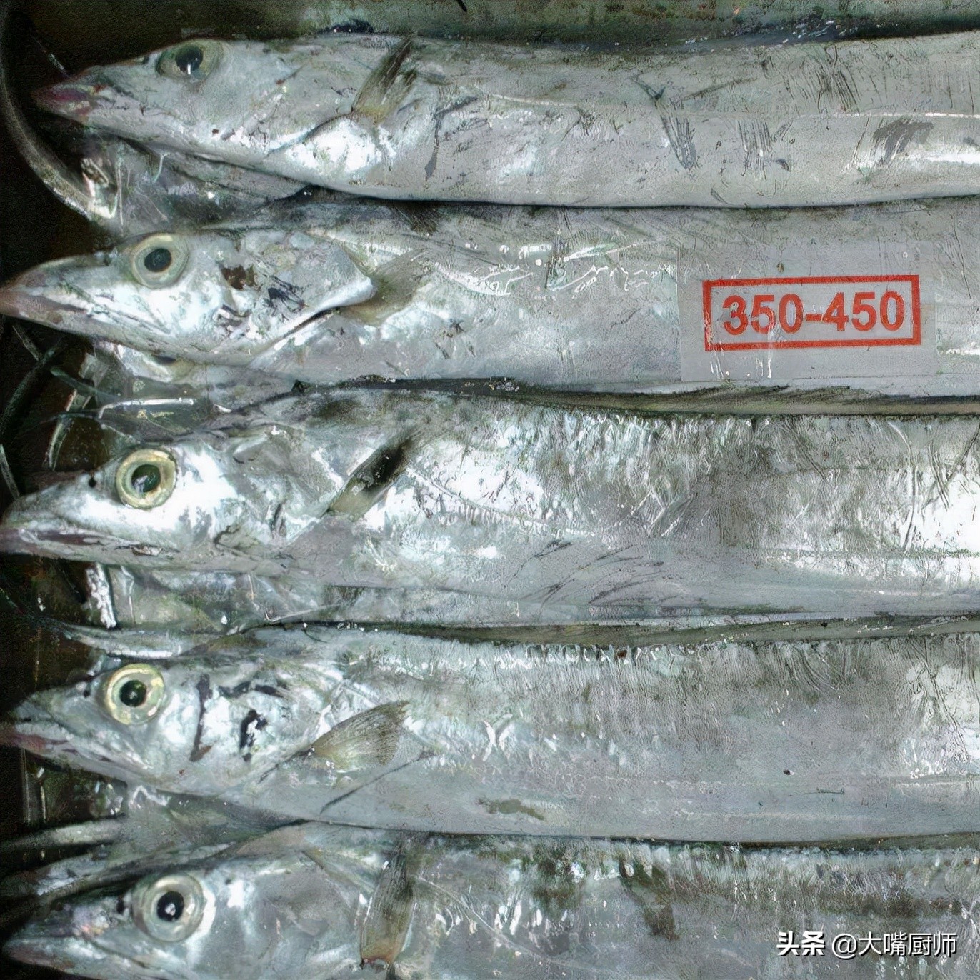 十几一斤和二十几一斤的带鱼区别,为什么带鱼段就几块一斤