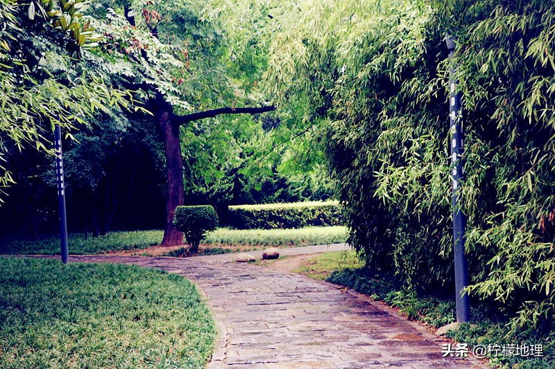 西安高新新世纪公园景色,西安最新建成的公园