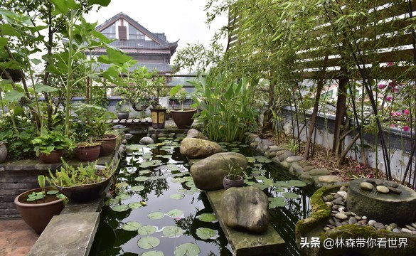 林森完整版免费观看,林森完整视频