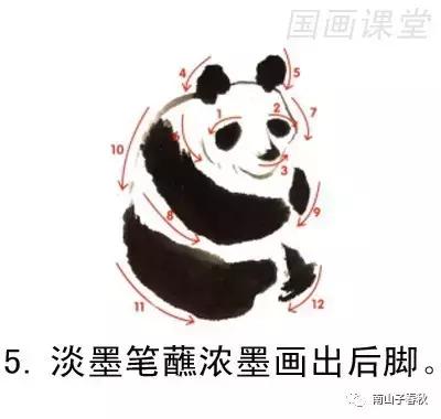 教你画大熊猫水彩画,黑色与白色的大熊猫怎么画才好看