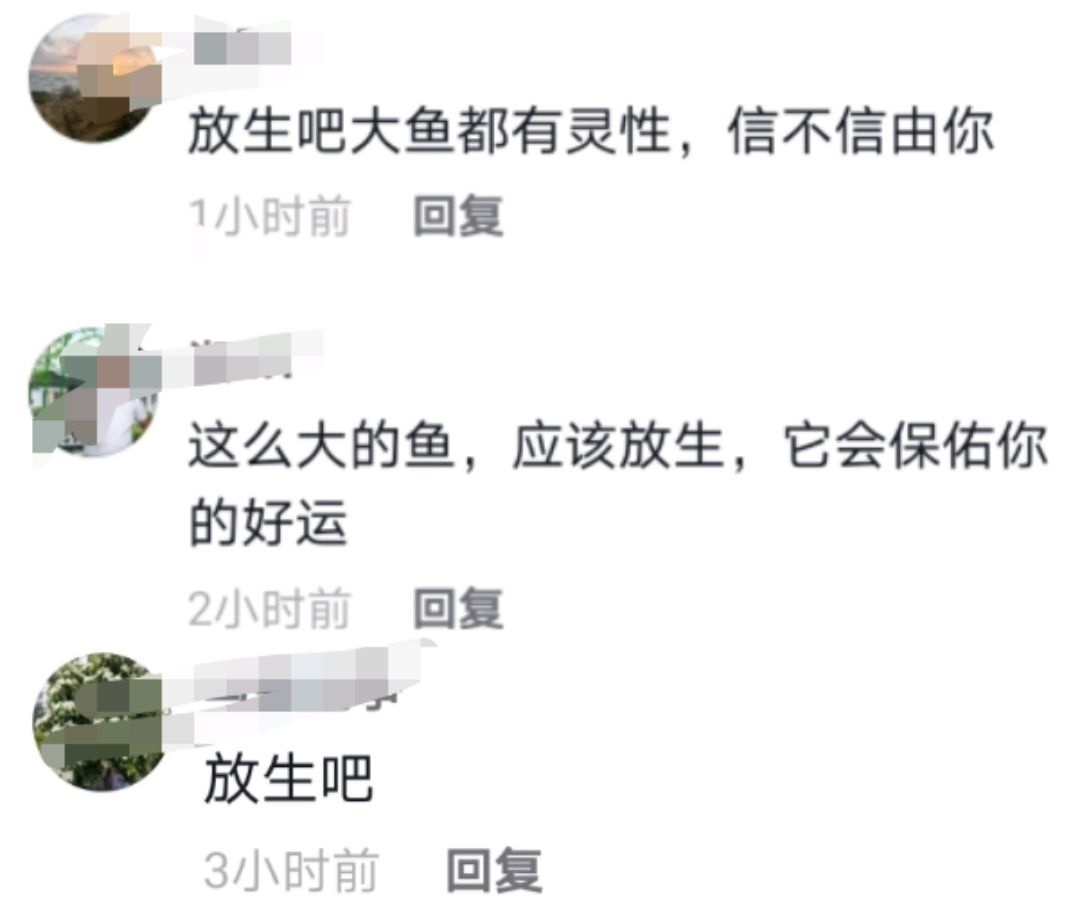 渔民抓获280斤重巨型鲶鱼,巨型鲶鱼居然被一个小伙钓上来了