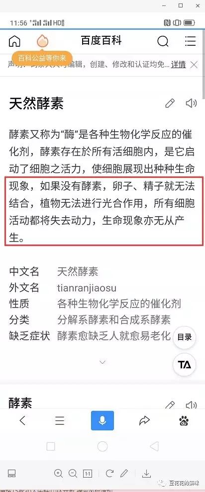 母猫不出来最快有效的方法,母猫不生如何催产