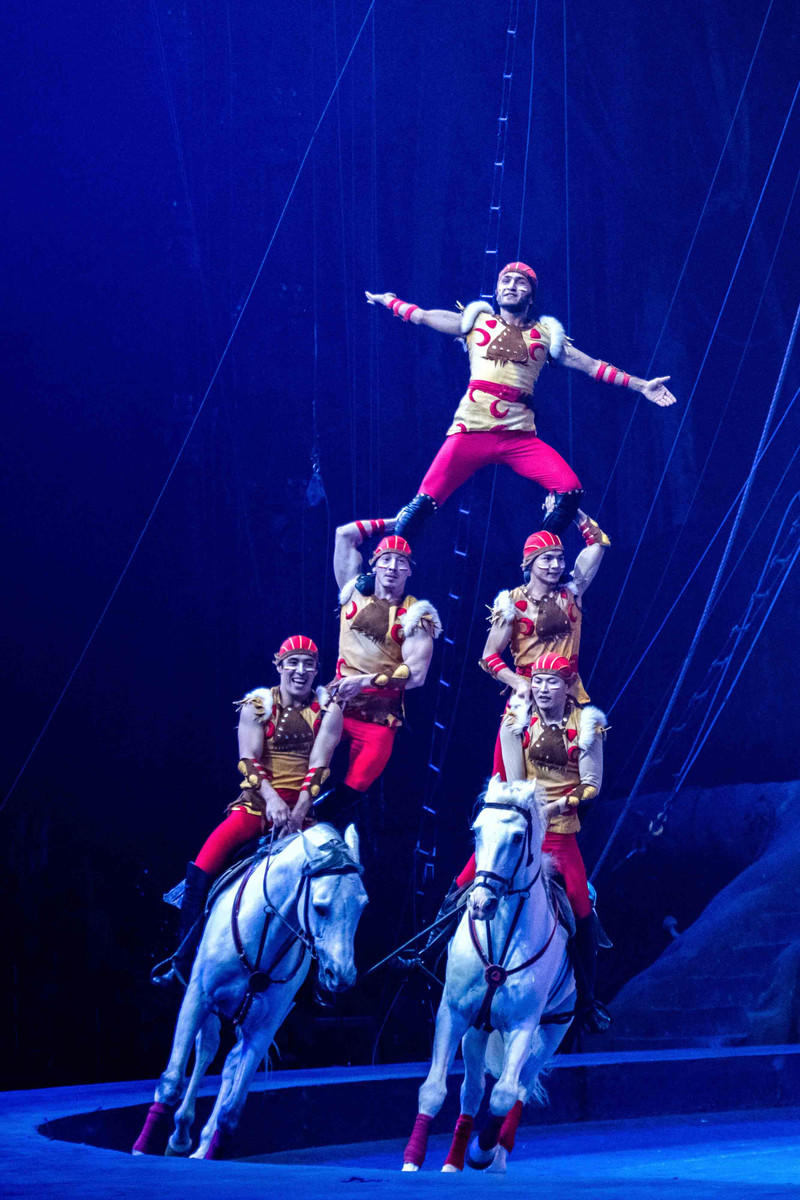 广州长隆野生动物世界旅游攻略,长隆野生动物世界攻略2-3天广州游