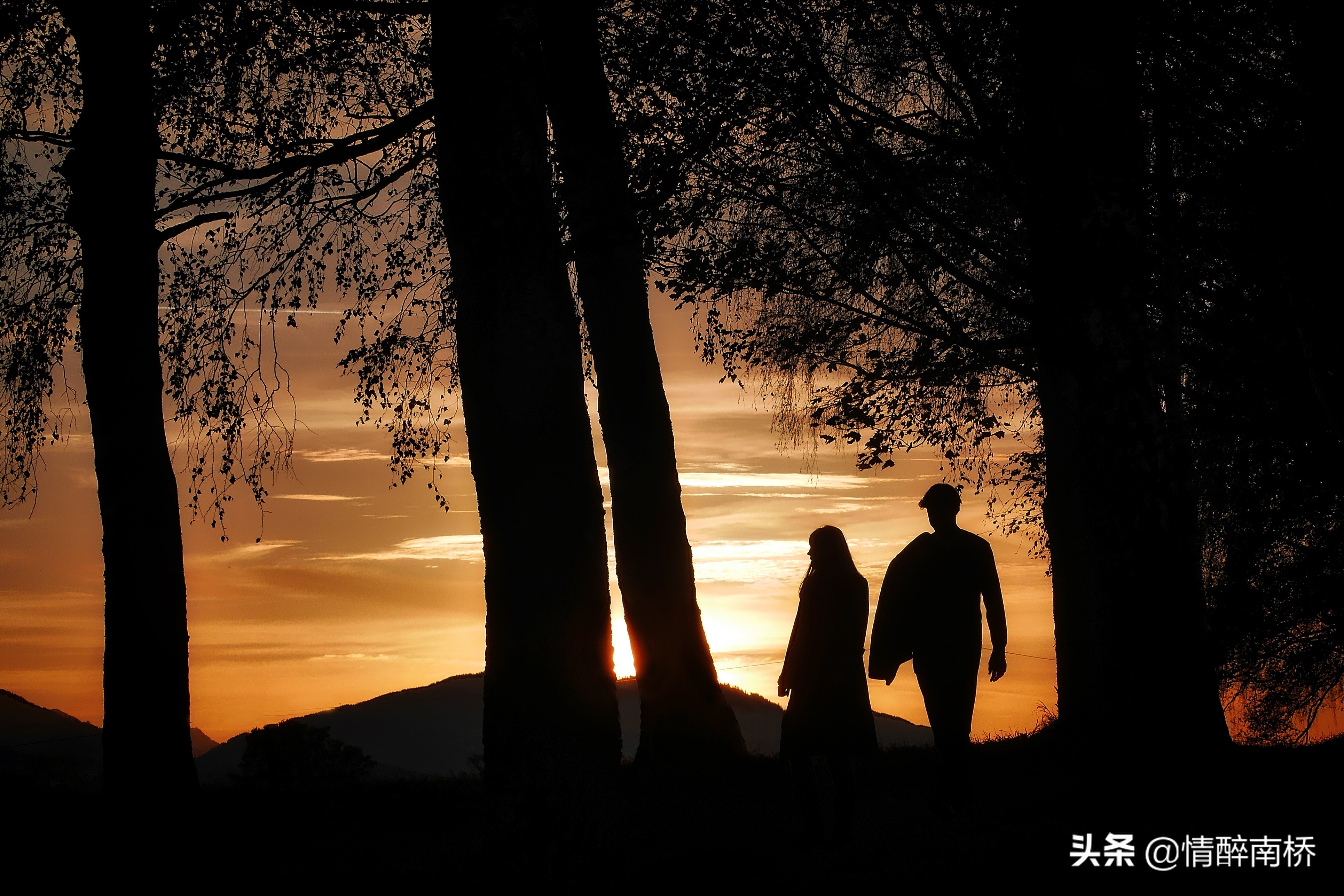 女性离婚的原因分析,女人离婚的六种原因