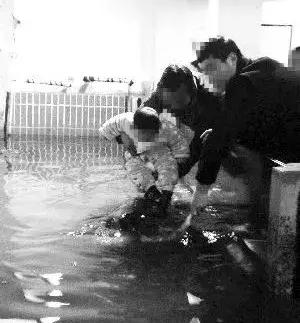 百万巨鳄砸死鳄鱼,鳄鱼被石头打伤