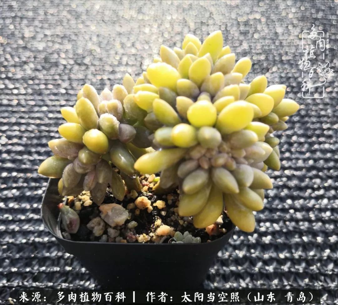 离家在外才发现最难忘的是故乡情,离家在外看见家乡的东西