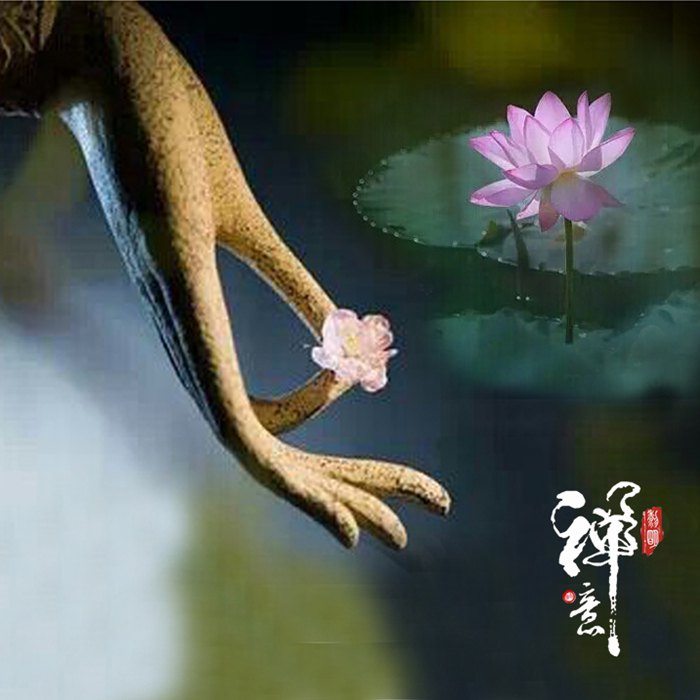 一叶障目一念菩提,一叶障目一念惑心