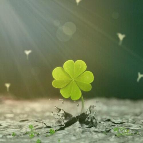 好聚好散才是成年人最体面的分手,成年人分手体面的句子