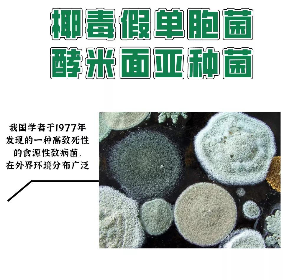 一家9口人食物中毒,一家9口食物中毒最新