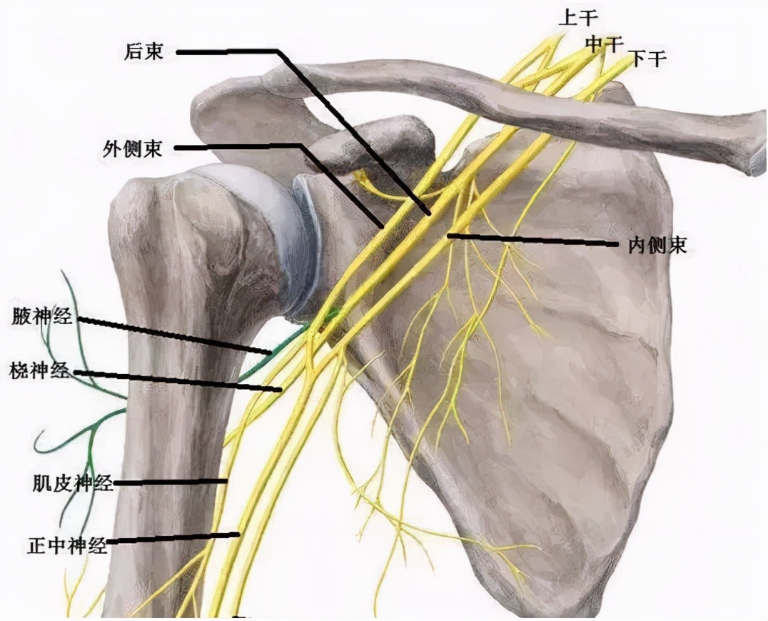 双侧腿拄拐的正确方法,下肢轻微负重拄拐的正确方法