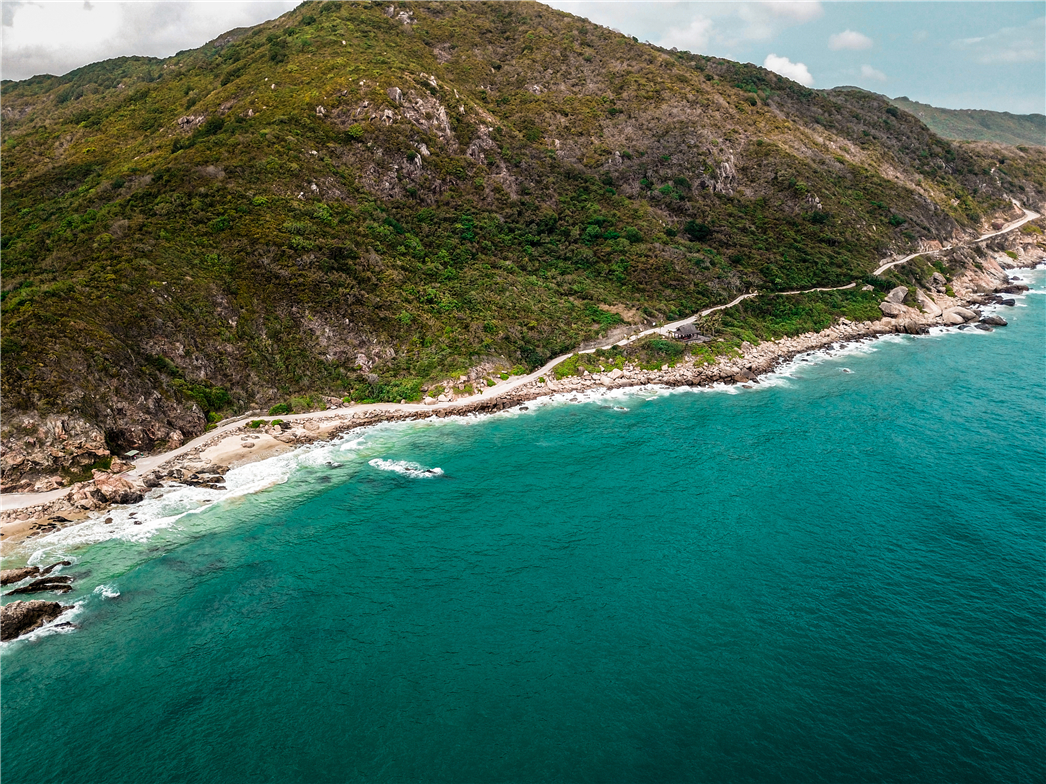 海南必玩猴岛与呆呆丨看萌呆猕猴，呆呆岛发呆