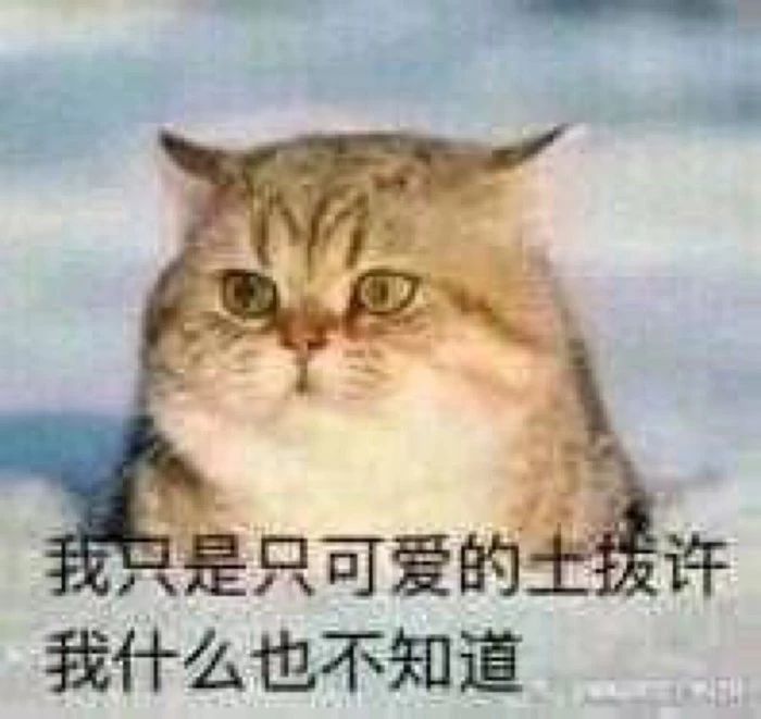 最火的韩妆韩国人根本没听说过,韩国真正好用的韩妆