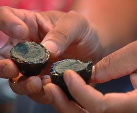 最臭的4种食物排行,臭到难以接受的食物排名