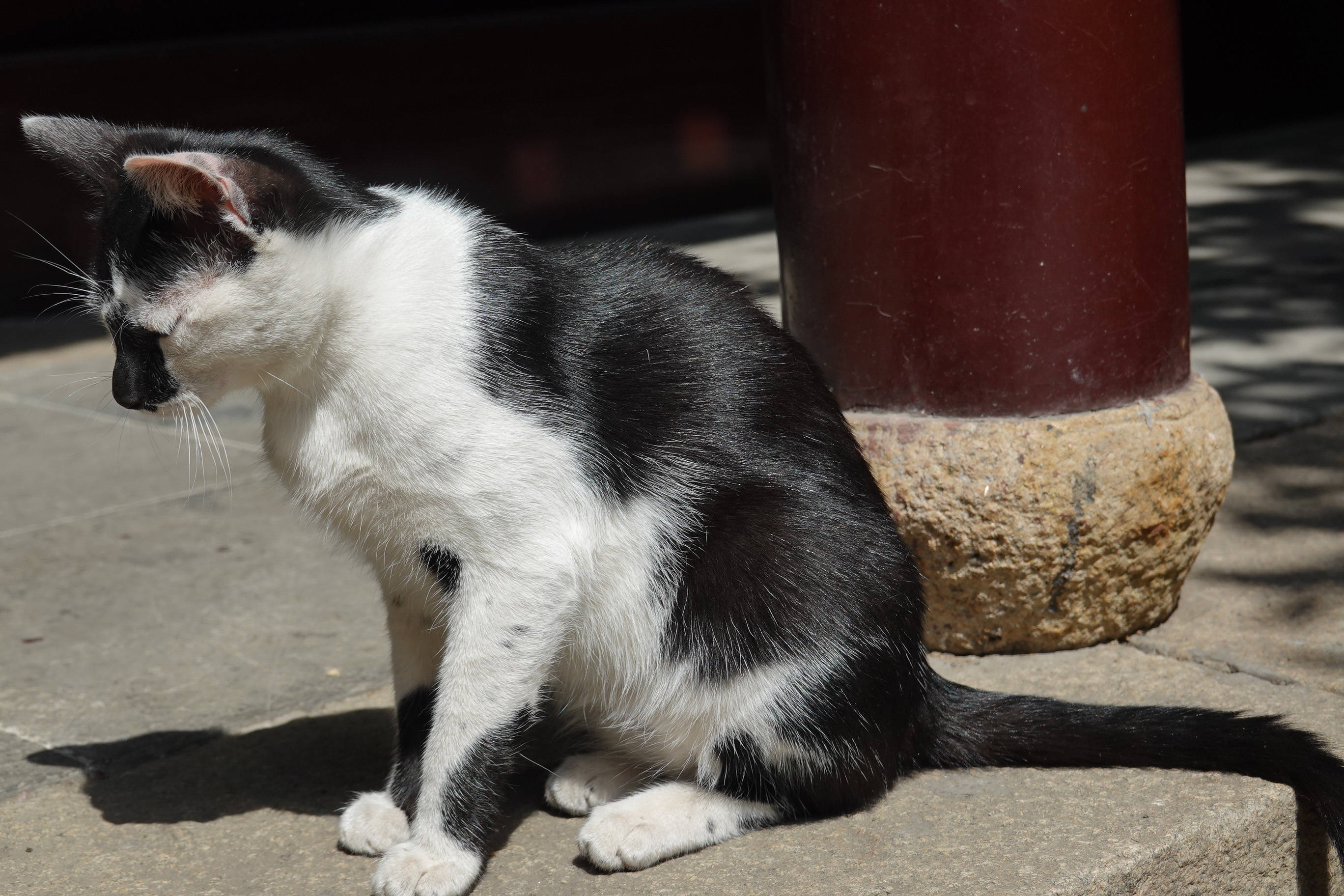 鑻忓窞鏃呮父灏忎紬鏃呮父鏀荤暐,鑻忓窞鏃呮父鏀荤暐灏忎紬鏅偣鎺ㄨ崘
