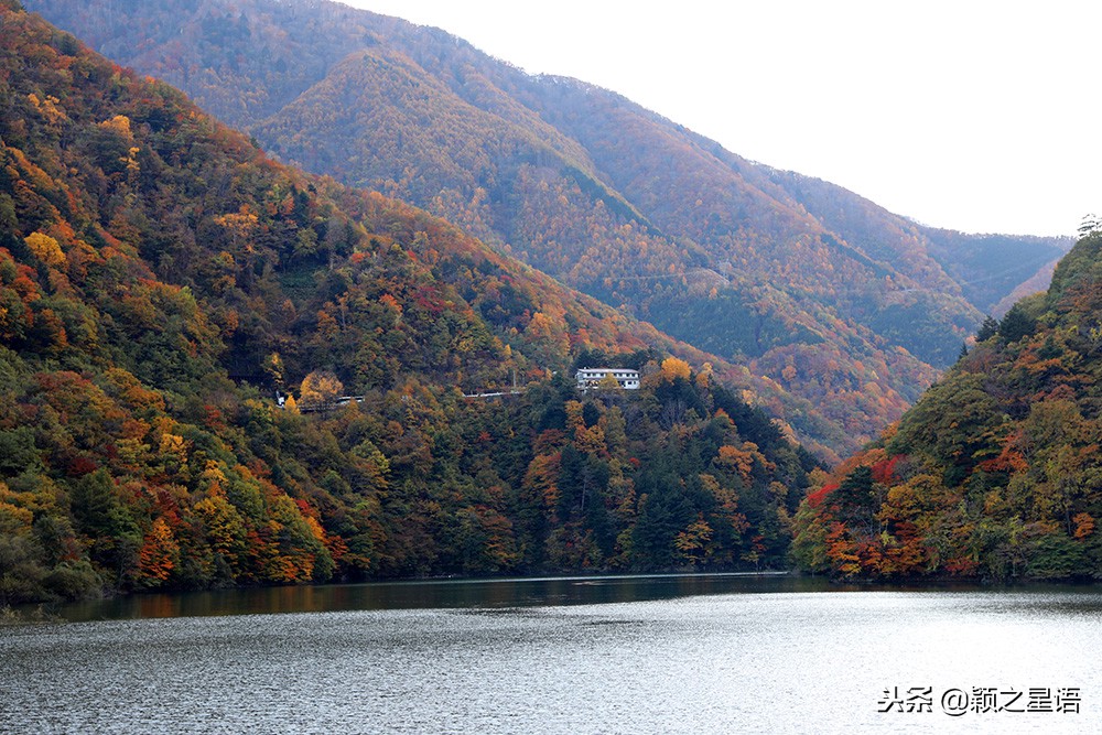 几千块的日本电饭煲,国产锅日本锅
