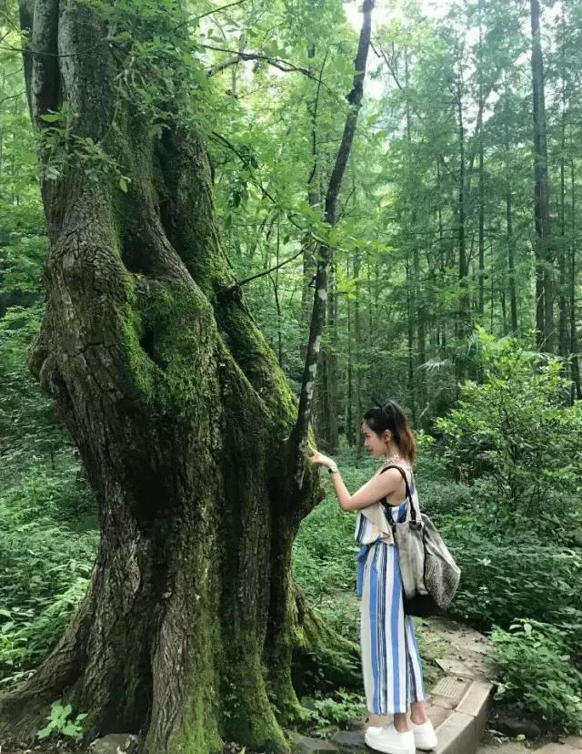 张家界住宿费如何省钱,张家界市吃住贵吗