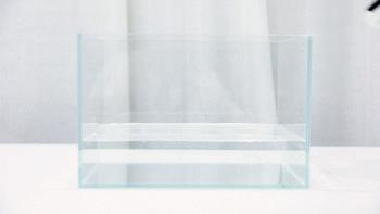 这是什么神仙鞋子视频,脚感超软弹的高颜值运动鞋