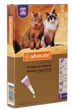 猫咪体外驱虫药用什么牌好,猫咪体外驱虫什么药比较好