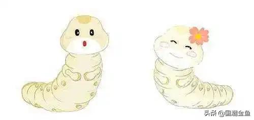 养鱼日常金鱼,养鱼学问观赏鱼