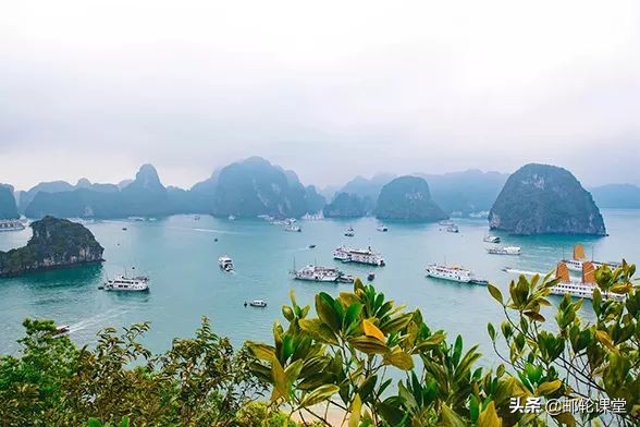 温州哪里可以坐轮船出海,游轮温州出发路线推荐