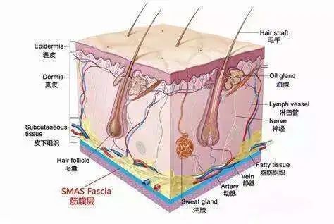 超声刀图解100例,从破坏开始的科学