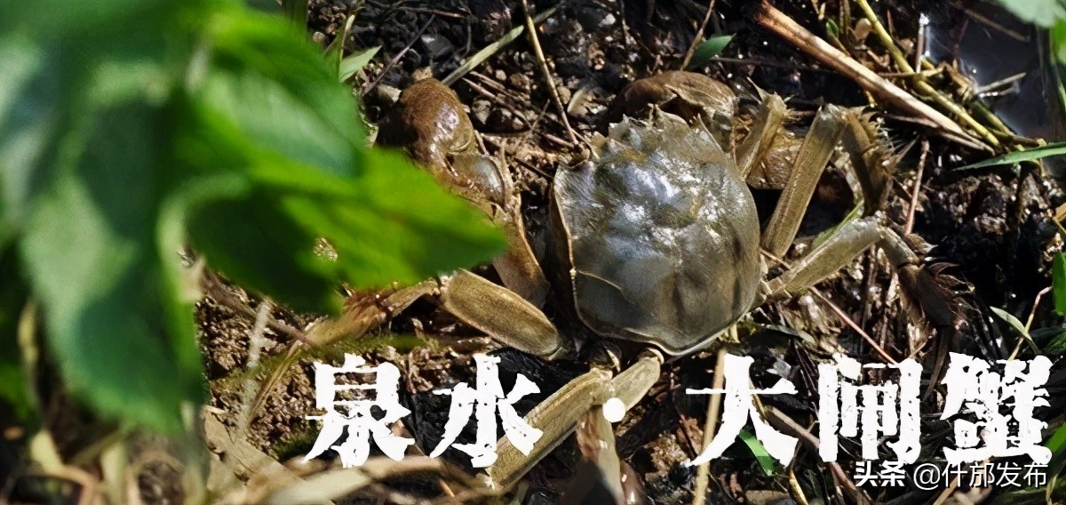 不负好春光文章,不负好春光的上一句