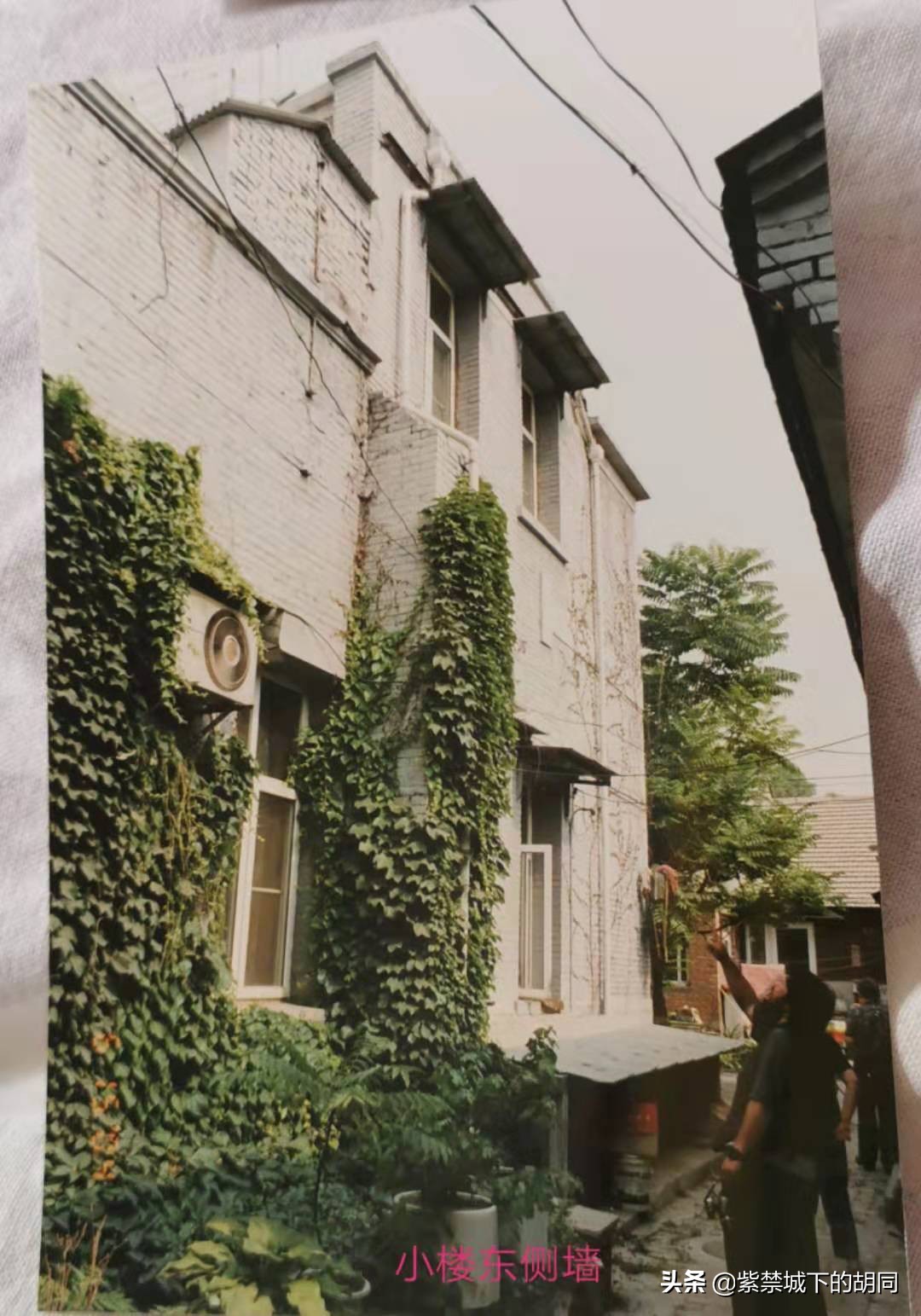 一篇*今条头日**文章，惊喜见到阿拉善王府的“格格”