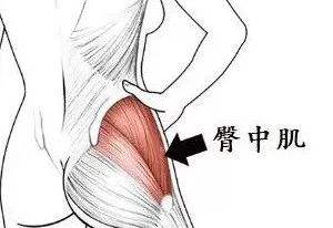 臀部挺翘怎么练,臀部如何训练看起来饱满圆润