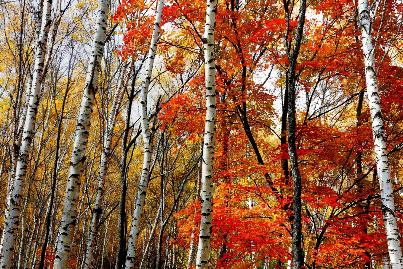 北京喇叭沟门,北京喇嘛沟门游玩