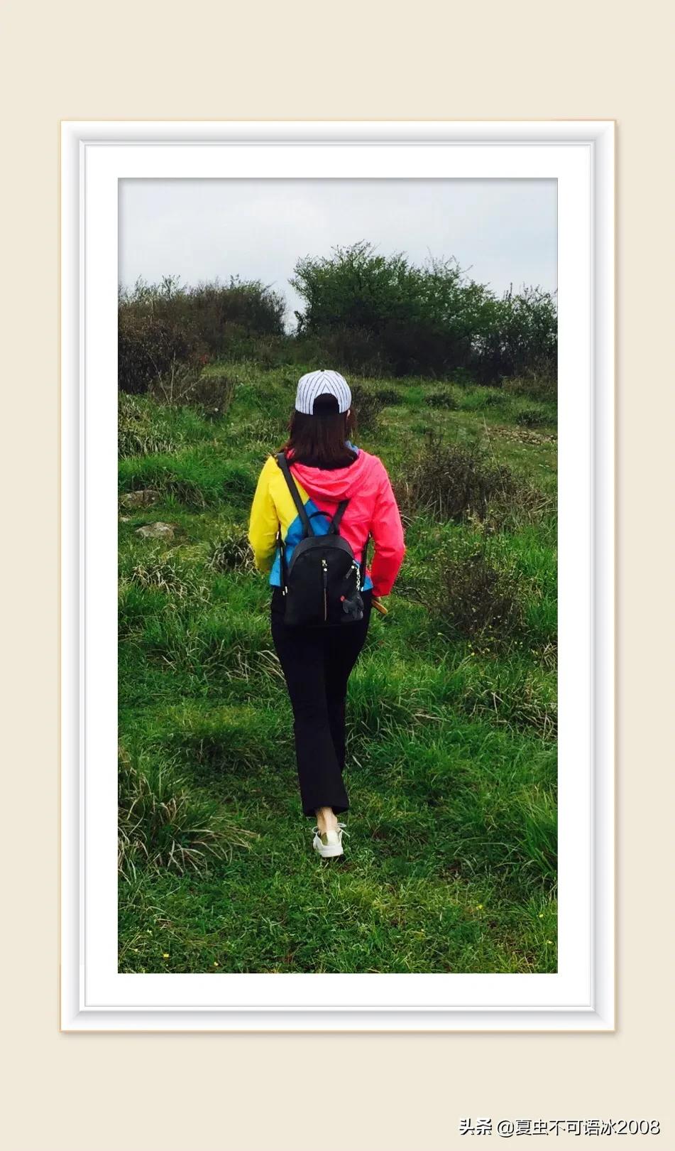 微课在物理教学中的应用,微课在物理教学中的应用论文