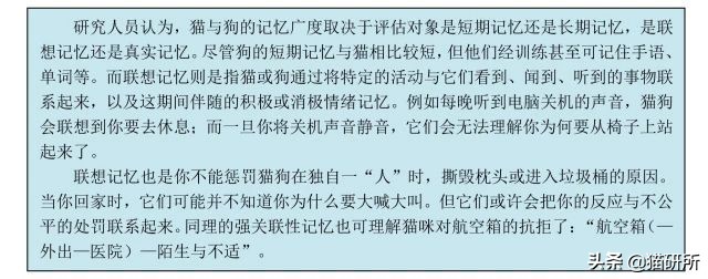 猫咪的记忆是多长时间,猫咪的记忆是永远的吗