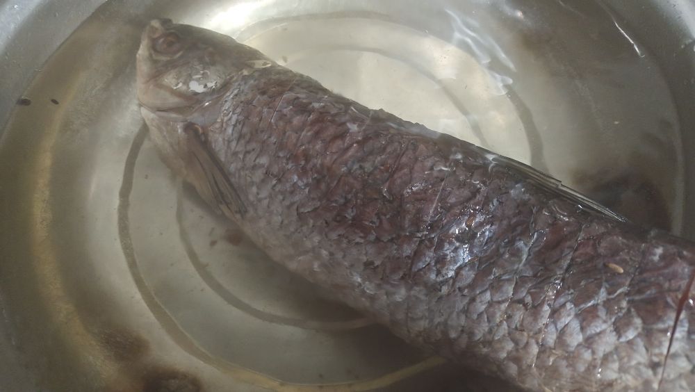 红烧风干草鱼泡多长时间,红烧草鱼酸甜口