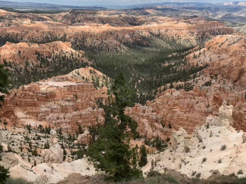 古诗词最好一句让人意难平的名句,诗词中难以启齿的19个字