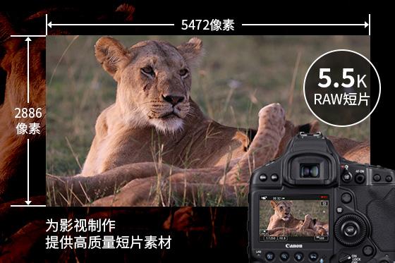 佳能eos-1dxmarkiii顶级旗舰,佳能eos1dsmark3发布时间