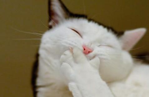 m型脱发也帅的男明星,帅气也挡不住脱发的10位男明星