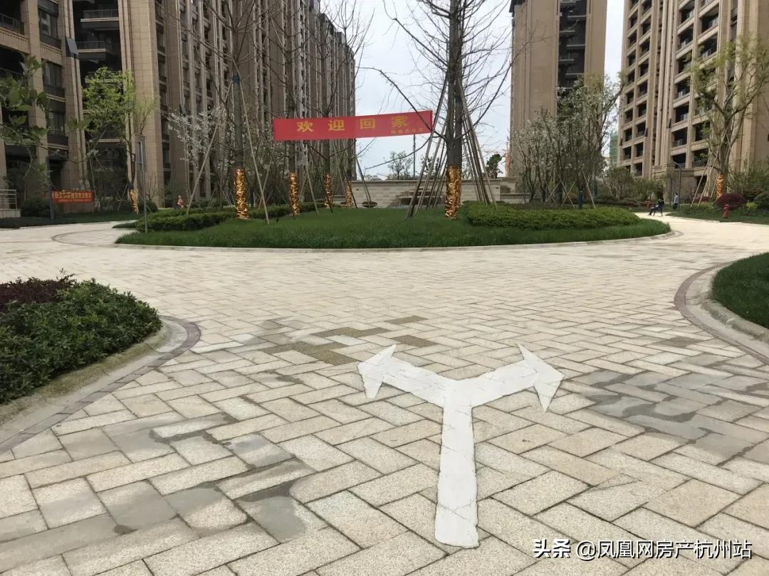 新天地业主的午后时光,新天地金色时光有活动吗