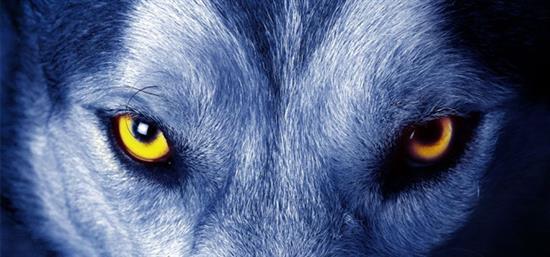 穷人缺的不是机会而是人脉,有野心没能力的人