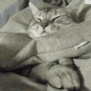 宝宝冬季帽子哪种舒服,宝宝帽子秋冬袜子