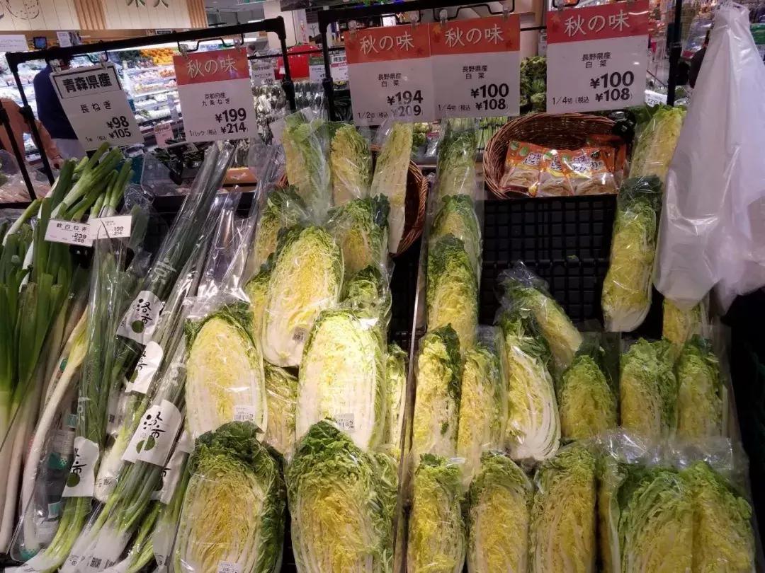 日本精致的日常生活 (日本的精致日常生活)