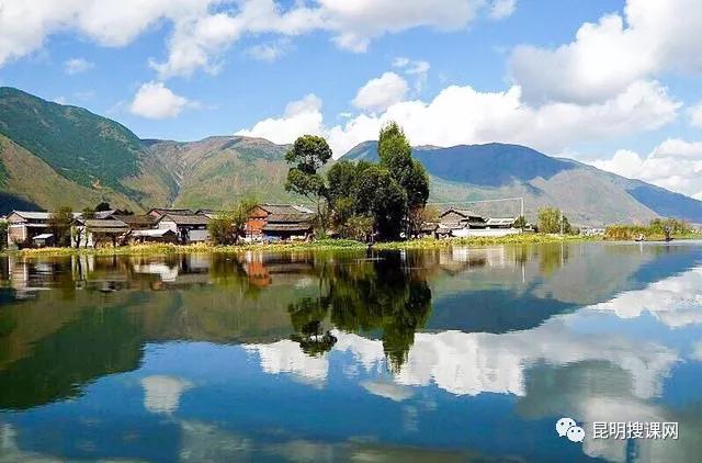 2022年高考语文新高考一卷作文,2022新高考一卷高考语文作文