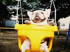 上海5星米其林餐厅一览表,2020上海米其林一星餐厅