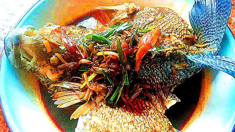 正宗广东清蒸石斑鱼的做法视频,粤菜清蒸石斑鱼家常菜