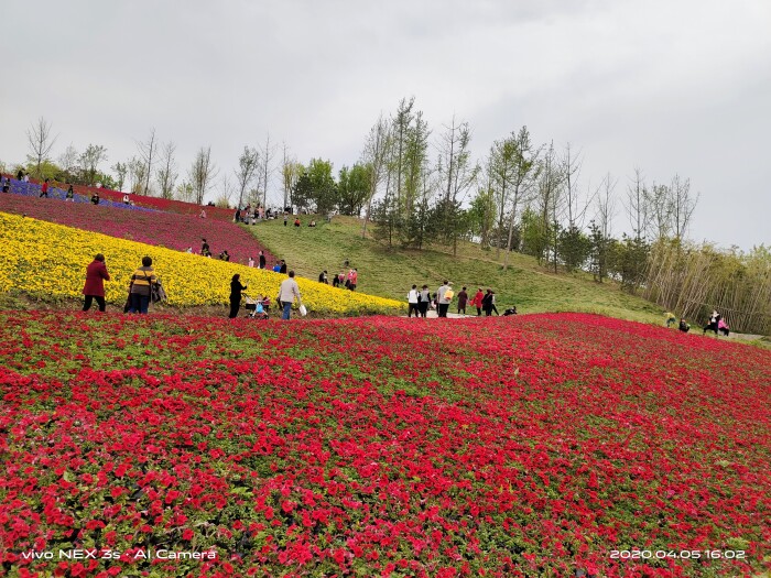 vivonex3s深度测评游戏性能,vivonex3s深度评测