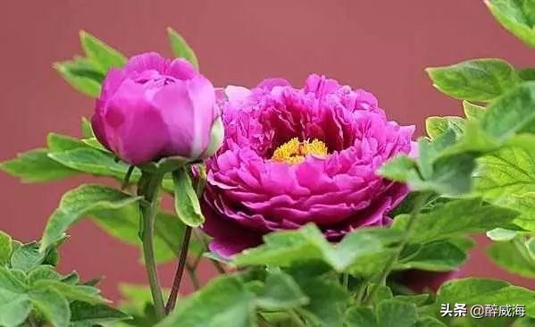 恒大球场建造视频,恒大球场美如画