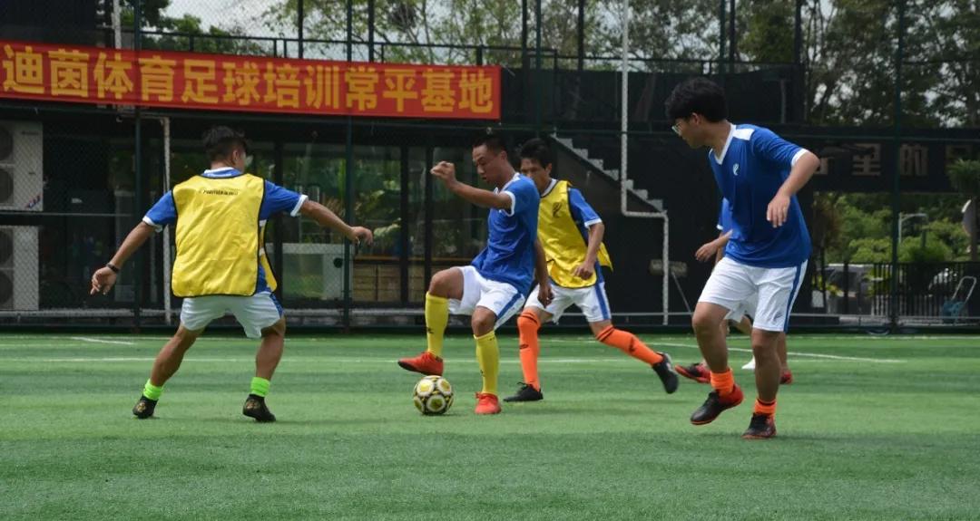 派迪茵体育用品有限公司,派迪茵体育有限公司图片