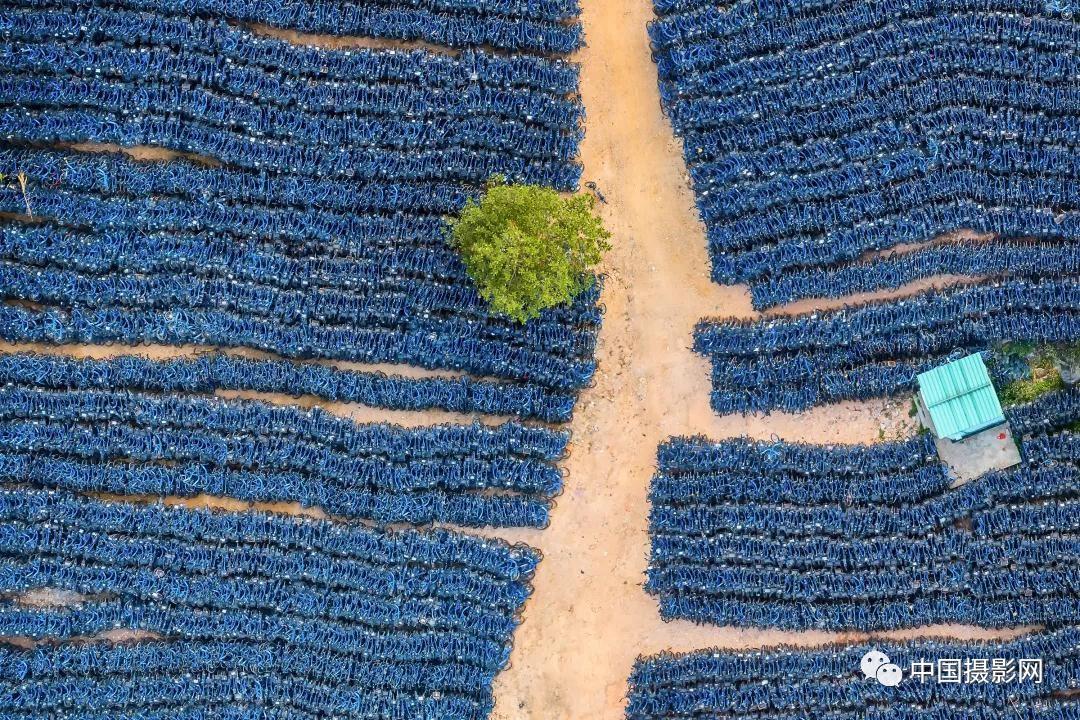 第七届全国摄影十杰获奖者,中国摄影年度人物排名
